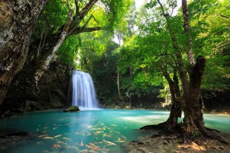adrium Acryl-Bild 140 x 90 cm: Wasserfall im tiefen Wald in Kanchanaburi, Thailand (23330889)