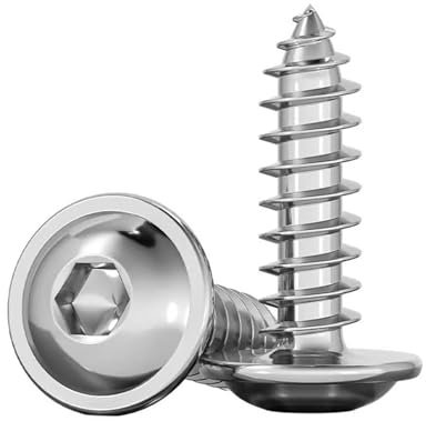 Aqxypas M3 M4 M5 M6 M8 Linsenkopf mit Unterlegscheibe Innensechskant Selbstschneidende Schrauben Rundkopf mit Dichtungsschrauben Edelstahl 304(M6x40mm 10pcs)