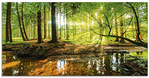 ARTland Wanddeko Glasbilder Wandbild Glas Bild einteilig 100x50 cm Querformat Wald Natur Landschaft Bäume Bach Sonne Frühling T9IO