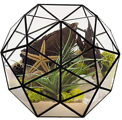 Géométrique Terrarium Planteur Verre Pot De Fleur Conteneur Air Plante Affichage pour Plantes Succulentes Balcon De Table Miniature Fée Jardin Décor Moderne