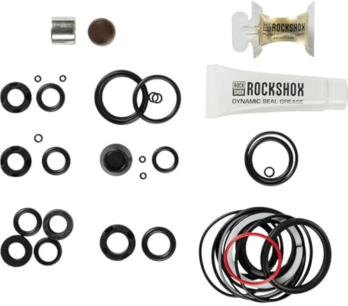 RockShox 200 Std/1 Jahr Service Kit Nude/Bold 2022+,Thrush.(2021-24),DLX/SDL