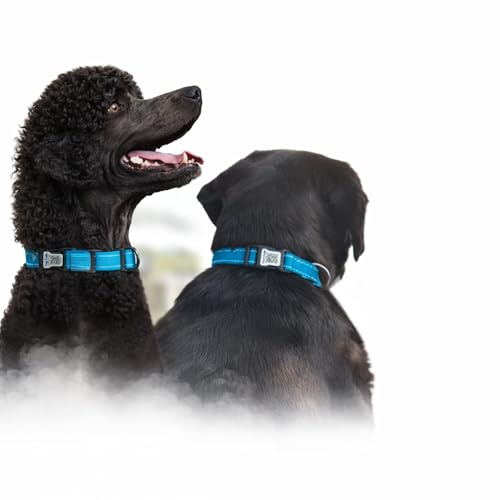 Tag Tails Hundhalsband med QR-kod – ID Halsband för Hund – Justerbart, Vattentätt Säkerhetshalsband (Blue, M)