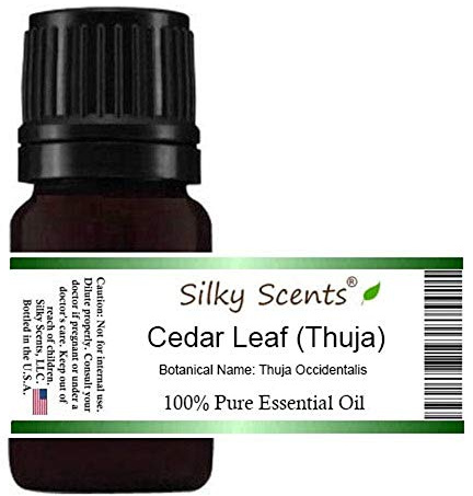 Cedar Leaf or White Cedar Essential Oil (Thuja Occidentalis) 100% Pure and Natural 15 ML