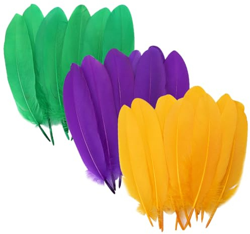 JIHUOO 150 Stück Mardi Gras Federn Große Gänsefedern Bastelfedern für Hüte Maskerade Party Federn Karneval Kostüm Federn zur Dekoration