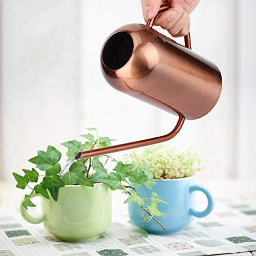 HWGING Annaffiatoio a Bocca Lunga, Brocca per L'Acqua, Pioggia e Rugiada, Cilindrico, 1,5 L, Grande Capacità, Acciaio Inossidabile, Bocca Lunga, Ornamenti per Interni, Articoli da Giardinaggio,