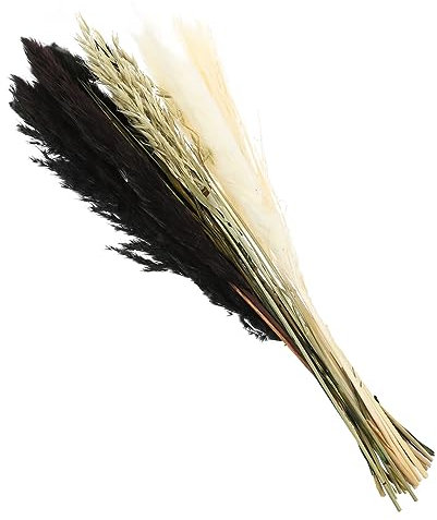 MAGICLULU Préservé Séchés Naturels Décoration Herbe Pampa Séchée Composition Pampa