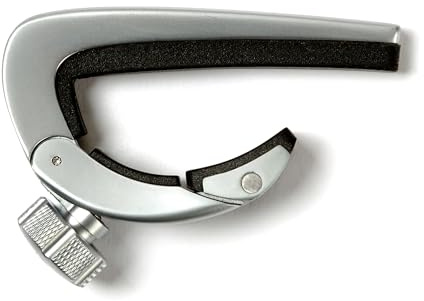 Drehpunkt Capo Satin Chrome