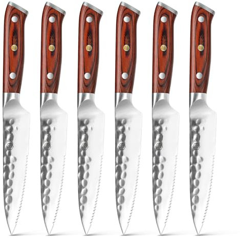 Sunnecko Steakmesser Set 6 teilig, hochwertige deutsche Edelstahl Steakbesteck Set, Grillbesteck Tafelmesser