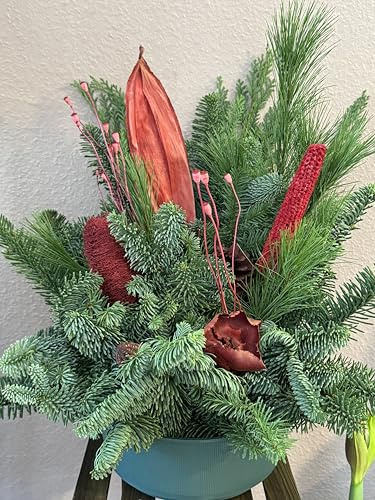 Seyila Home Grabgesteck frisch gebunden (echt) 60 cm im Steckschaum mit Wasser aufgesaugt, frische Nobillis Tanne, Thuja, Kiefer mit schönen trockenen Exoten, Grabauflage, Totensonntag (Rot stehend)