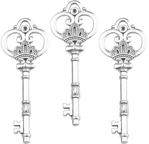 AebDerp 20 Stück Vintage Schlüssel Anhänger Antike Charms Basteln für DIY Schmuckanhänger, Halskette, Schmuckherstellung Deko, Hochzeit Party und Geburtstag Geschenke Projekte