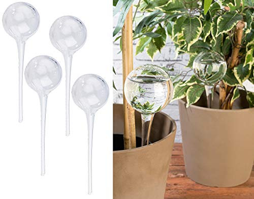 Royal Gardineer Bewässerungskugeln Glas: 4er-Set Gießfrei-Bewässerungs-Kugeln aus Glas, transparent, Ø 6 cm (Glaskugel Bewässerung, Pflanzen Bewässerungskugel, Blumen Wasser)