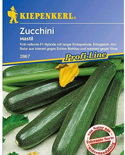 Kiepenkerl Zucchini 'Mastil',1 Portion