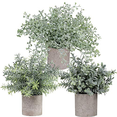 Winlyn Mini Potted Plants Artificial Flocked Eucalyptus Boxwood Rosemary Greenery in Pots Faux Potted Herbs Small Houseplants 8.8-10 Tall for Indoor Greenery Tabletop Décor Centerpiece 3 Pack
