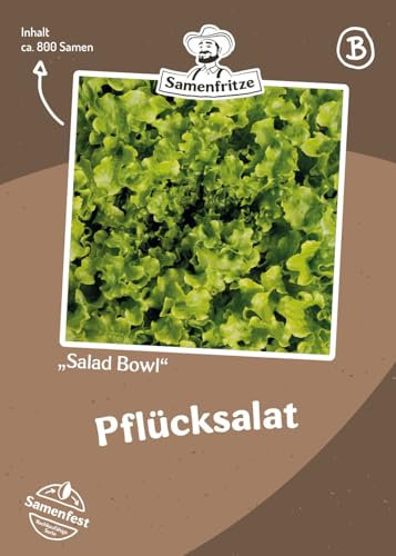 Pfücksalat Salad Bowl Samen