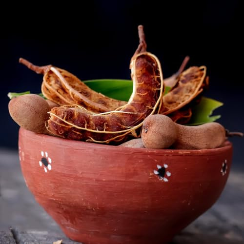 Semillas de tamarindo - semillas raras invernaderos de balcón tamarindo, fresca es enanos resistentes balcón resistentes para el jardín 50pcs