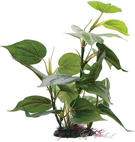 Fluval Anubias Pflanze für Aquarium, 30,5 cm