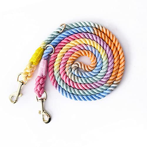 Tesitehi Multifunktionale Hundeleine aus Seil, 2,5 m, mit verstellbarem doppeltem Drehhaken, freihändig für kleine, mittelgroße und große Hunde, Laufen, Wandern, Camping, Spazierengehen (buntes