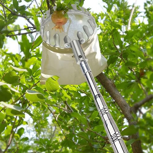 Obstpflücker mit teleskopstange 2-7M Kirschenpflücker Pflaumenpflücker Obstpflückstange für Früchte von Hochgelegenen Orten Pflücken | A,6m(19.7ft)