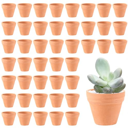 Generisch SHUESS - Set di 48 mini vasi da fiori in argilla, 3,5 x 3 cm, piccoli con foro di drenaggio per fai da te, in terracotta, per dipingere piante grasse