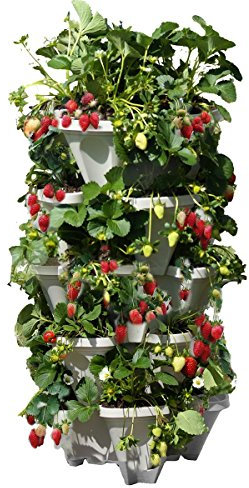 Mr. Stacky 5 Tiered Vertical Gardening Planter, Indoor & Outdoor