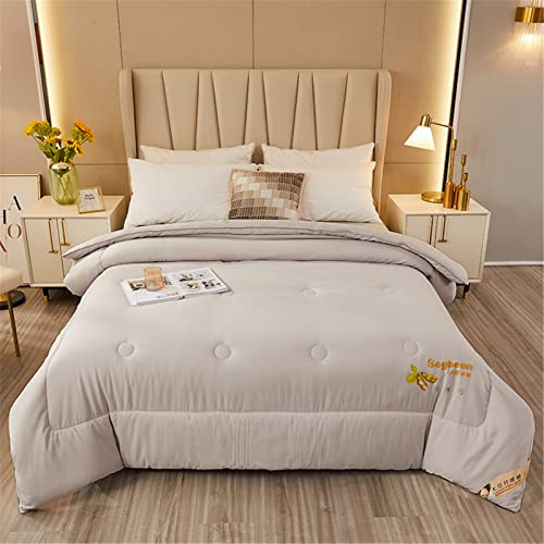DZYP Couette en Microfibre 4 Saisons, Doux Confort Chaude Edredon, Hypoallergénique Anti Acariens Édredon Duvet Hiver Couverture (Gris,150x200cm(3kg))