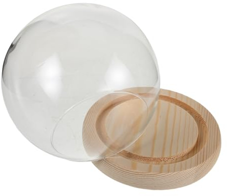 POPETPOP Cupola in Vetro Rotonda Con Base in Legno Mini Campana Campana Per Esposizione Di Fiori Eterni e Oggetti Vetrina Cupola in Vetro Con Visibilità Completa e Alta Trasparenza