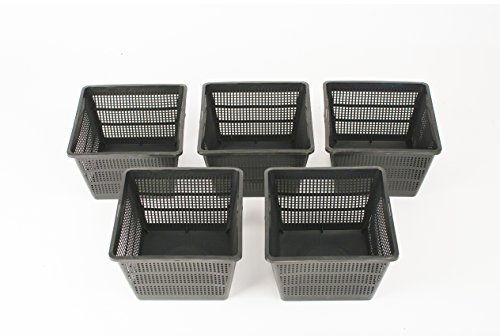 Inter Flowers GmbH Inter Flowers – 5er-Pack Pflanzkörbe – quadratisch – 18 x 18 x 12 cm – Garten-/Teichbepflanzung für Wasserpflanzen – ermöglichen maximalen Wasserfluss