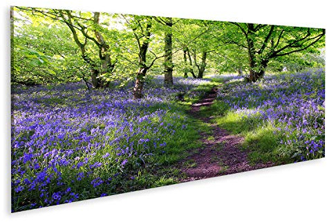 islandburner Bild auf Leinwand Blaue Glocken Blumenwiese In Schottland Bilder Wandbilder Poster