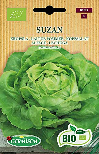 Germisem Orgánica Suzan Semillas de Lechuga 1 g (ECBIO6027)