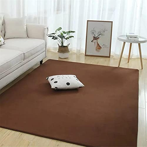 Alfombra de Terciopelo Coral Grueso de Color sólido Calidad Café ligero Suave Lavable Antideslizante Grande Rugs Rug Minimalista Moderna Sala De Estar Dormitorio Tatami Gateando Estera -60×90cm