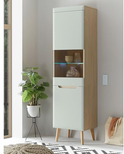 Lomadox Wohnzimmer Esszimmer Vitrinenschrank, Standvitrine, Vitrine in Grün Matt mit Eiche inkl. Beleuchtung