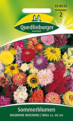 Sommerblumen, Halbhohe Mischung
