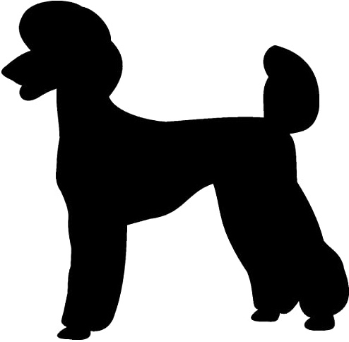 Samunshi® Pudel Hunde Aufkleber Autoaufkleber Sticker in 6 Größen und 25 Farben (10x9,7cm schwarz)