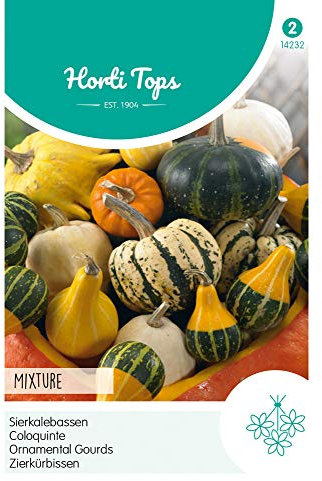 Hortitops 14232 Calabaza ornamental Mezcla de frutos pequeños y grandes (semillas de calabaza decorativas)