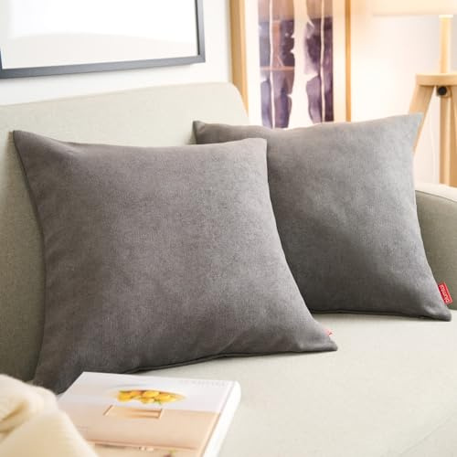 Blumtal 2er Set Kissenbezug 60x60 anthrazit - kuschelige Chenille Kissenbezüge mit verstecktem Reißverschluss, Oekotex Zertifizierte Kissenhülle für Deko-Kissen Sofakissen Polster & Zierkissen