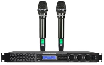 DSP-Audioprozessor, Karaoke-Digitaleffekt-Audioprozessor Mit 2 Dynamischen Mikrofonen For Zuhause/Bühne