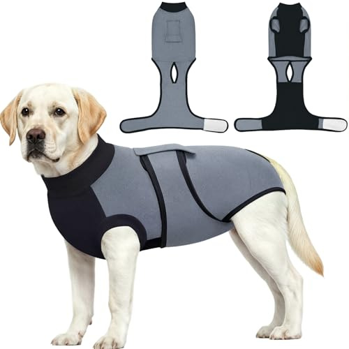 Dolahovy Body Cane Post Operatorio, Tuta Onesie Tutina Cane Post Operatoria per Cani Femmina Spay Maschio Neuter Pet Bodysuit Pigiama Prevenire Ferite Leccare Camicia (Grigio, XL)