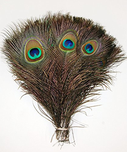 KAYSO Peacock Mini Tails Feathers, 25 Piece
