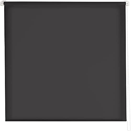 Estoralis | GOVE | Tenda a rullo | Nessuna perforazione Traslucido tinta unita | Antracite | 100 x 180 cm (larghezza/altezza) dimensione del tessuto 97 x 175 cm. | Tende per finestre e porte