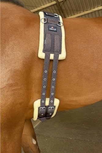 Preto Horse Training Body Roller or Lunging Girth Synthetic Nylon Webbing Fleece/Faux fur Padded Exercise Lunge Roller Girth Anti-Chafing Equestrian Pony Braun Sattelgurt Vollblut Pony Warmblut