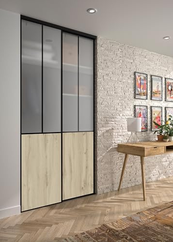 OPTIMUM 2 Portes de Placard coulissantes, Hauteur 250 cm, Largeur 120 cm, décor Atelier Noir, soubassement chêne Authentique, Verre dépoli Blanc, profils et Rails Noir Inclus