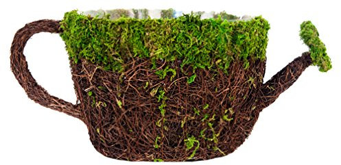 Supermoss (55261) 22,9 cm Deco Arrosoir Pot de Fleurs Panier, Grande