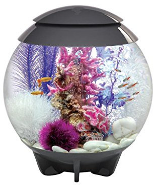 biOrb HALO 30 LED, grau - 360-Grad Deko-Aquarium / Komplett-Set aus Acryl-Glas mit LED-Beleuchtung, Filter-System und Boden-Keramik