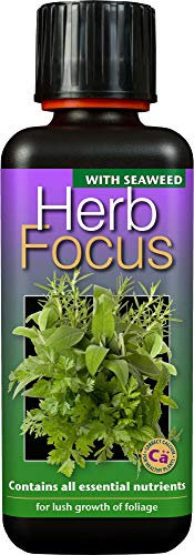 Herb Focus Liquid Concentrated Fertiliser 300 ml, Black