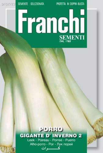 Franchi Leek Gigante D'Inverno