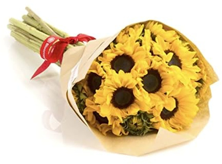 BloomsyBox: Farm-Fresh Sunflowers | 10 Stems, Yellow Design, Care Card, Flower Food, Lush Greenery, Flower Delivery, Birthday, Anniversary,Get well, Wedding Flowers | No Vase