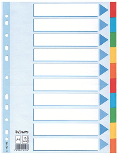 Leitz 10er Pack Kartonregister Standard Blanko, A4, Karton, 10 Blatt, Weiss