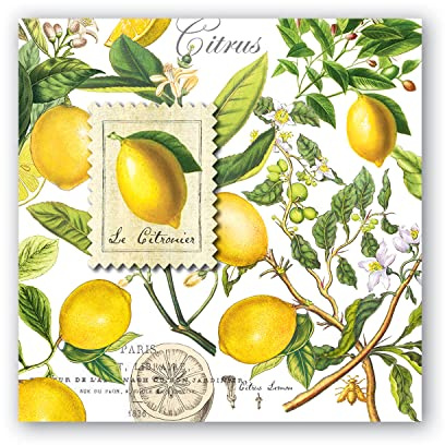 Michel Design Works Soft Triple-ply Paper Cocktail Napkins, Lemon Basil Themed, Perfect for Everday Use and Display