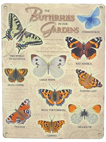 signs-unique Butterflies In Our Garden Small Steel Sign 200mm x 150mm (og)