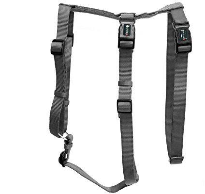 Hundegeschirr ausbruchsicher Professional No Escape, M: 40-50cm schwarz